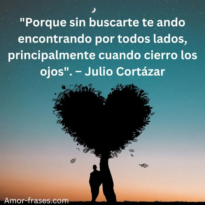 frases de amor con imagenes fotos para descargar Frases bonitas de amor fotos