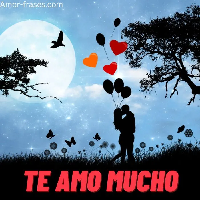 Frases bonitas de amor imágenes