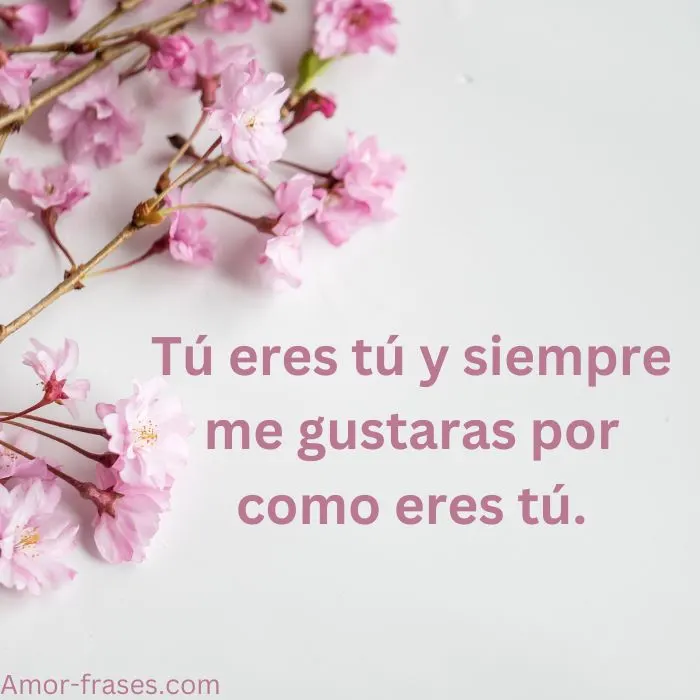 frases de amor con imagenes fotos para descargar frases de amor con imagenes fotos para descargar