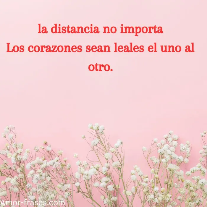 imagenes de amor,fotos, imagen mensajes de amor imagenes de amor,fotos, imagen mensajes de amor